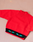 סוודר צמר אדום עם צמח חג המולד | 3-4 שנים
