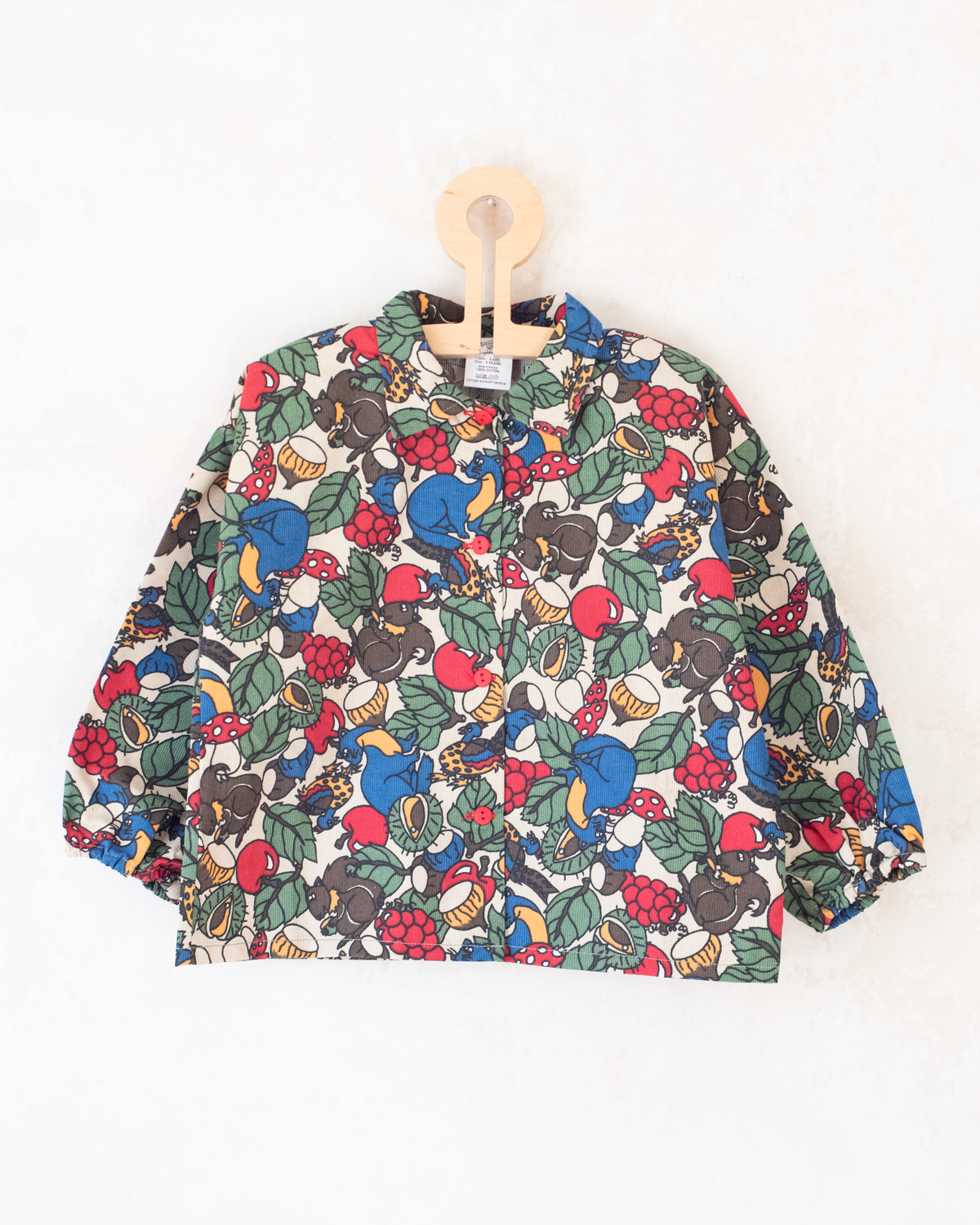 חולצה ארוכה מכופתרת עם פירות, סנאים, בלוטים ופטריות | דד סטוק צרפתי | 4-5 שנים
