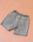 Shorts with King Babar embroidery | 2-3 years