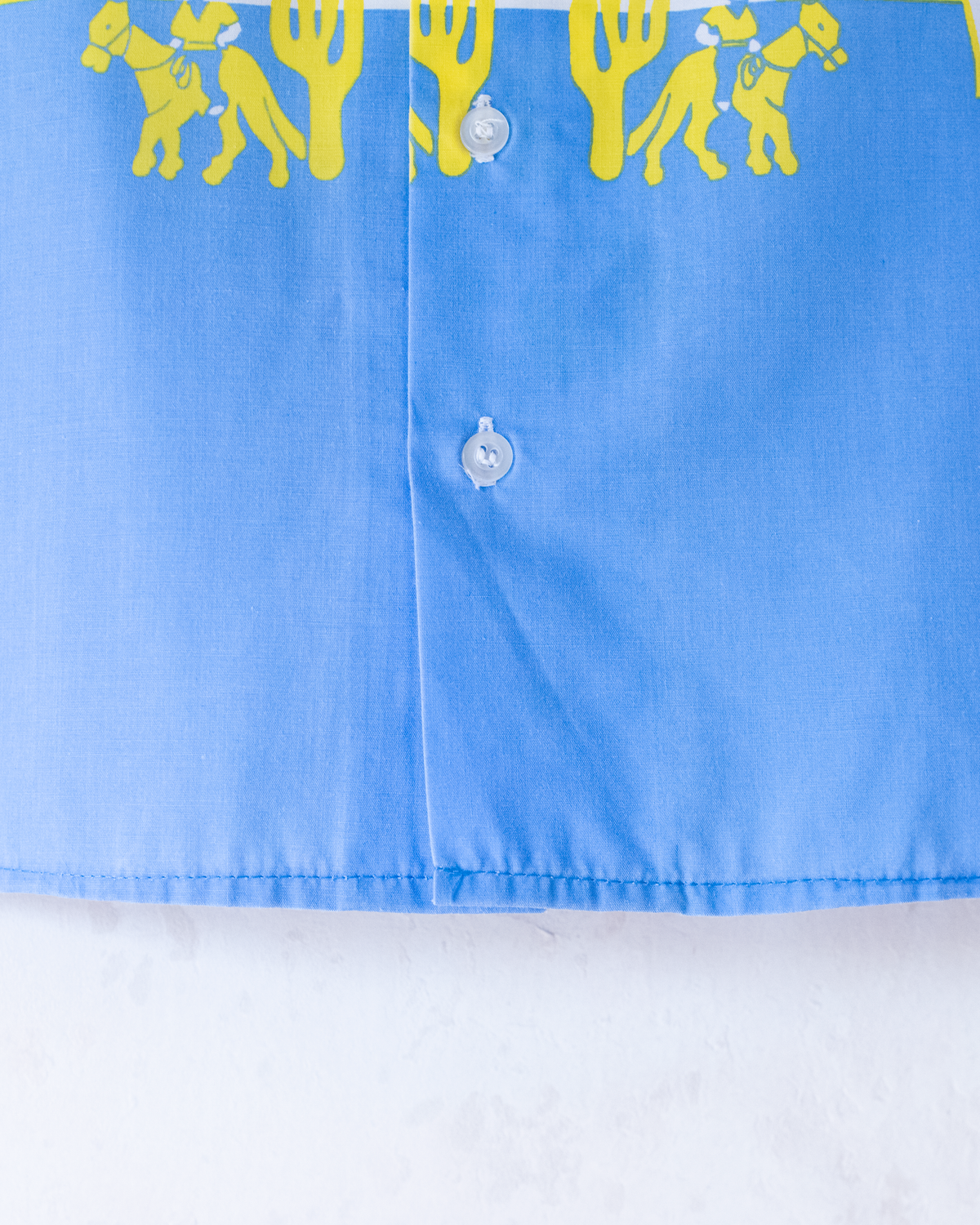 Short shirt with cacti and bows | 4-5 years