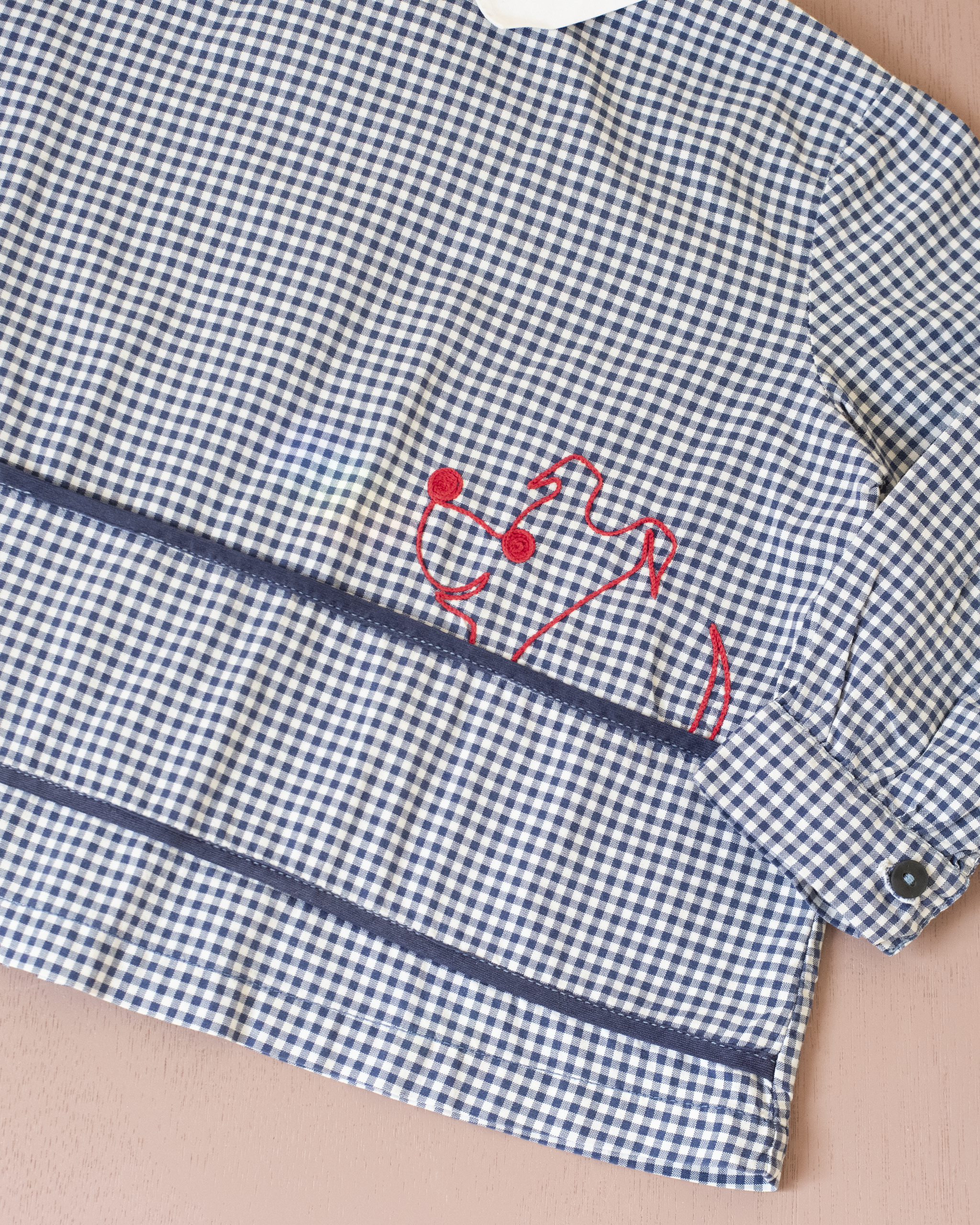 חולצה משובצת מהסיקסטיז עם כלב רקום | 2-3 שנים