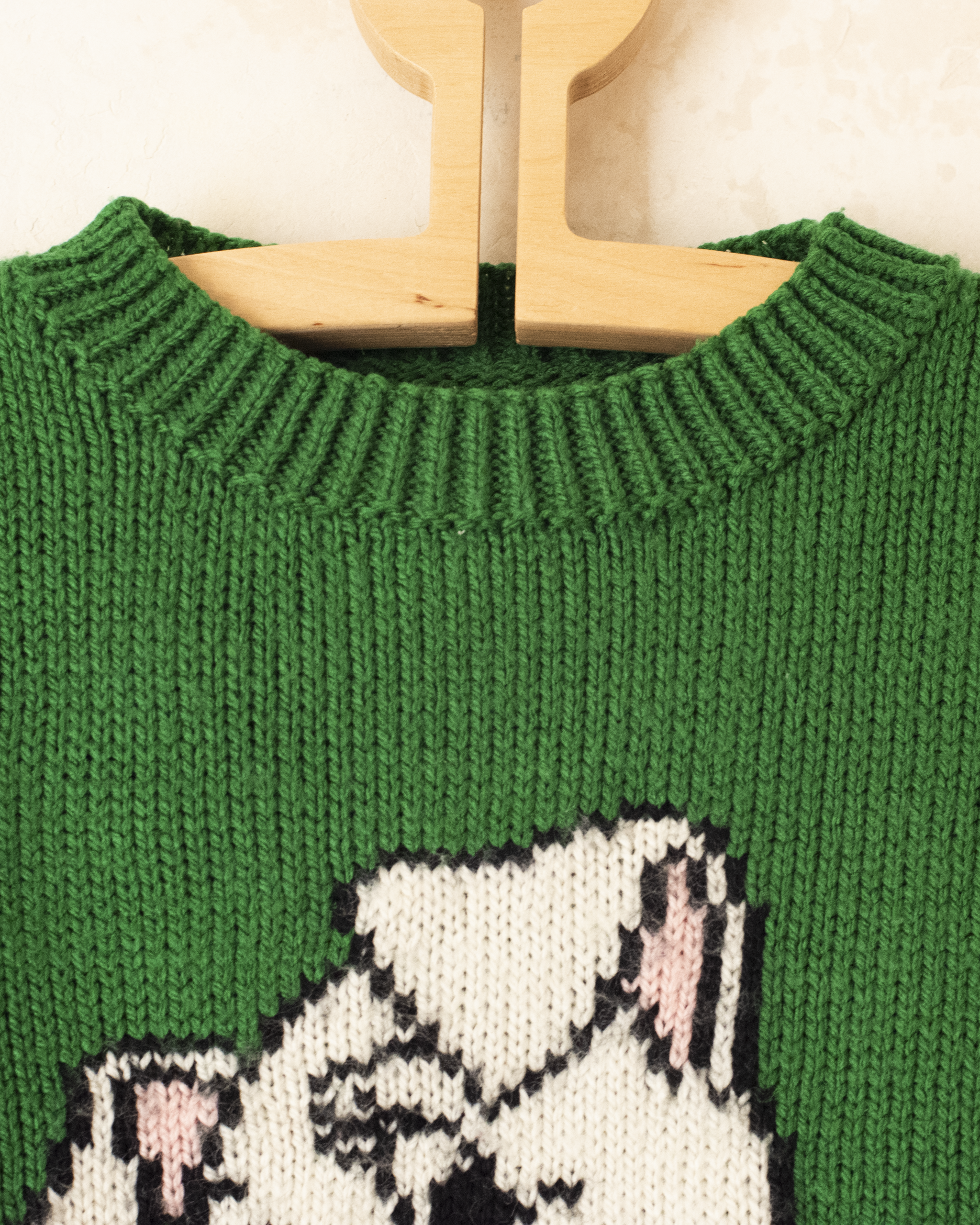 סוודר צמר ירוק עם גור לבן | 5-6 שנים