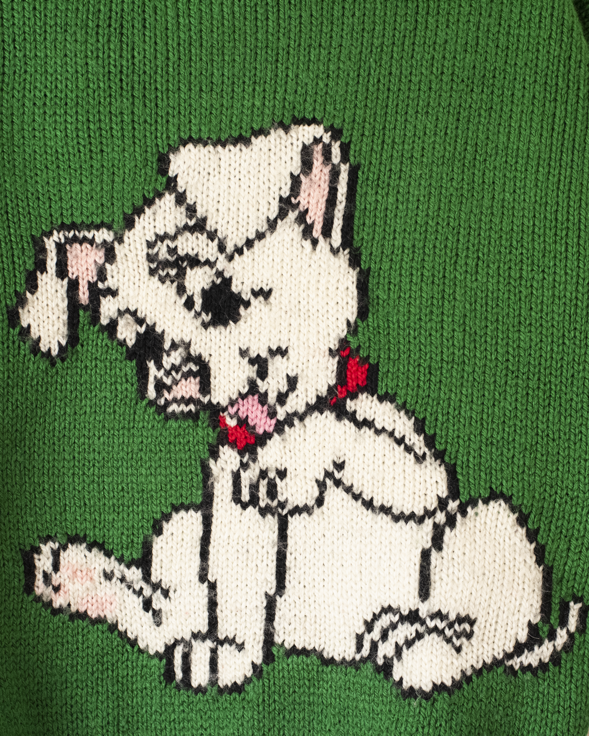 סוודר צמר ירוק עם גור לבן | 5-6 שנים