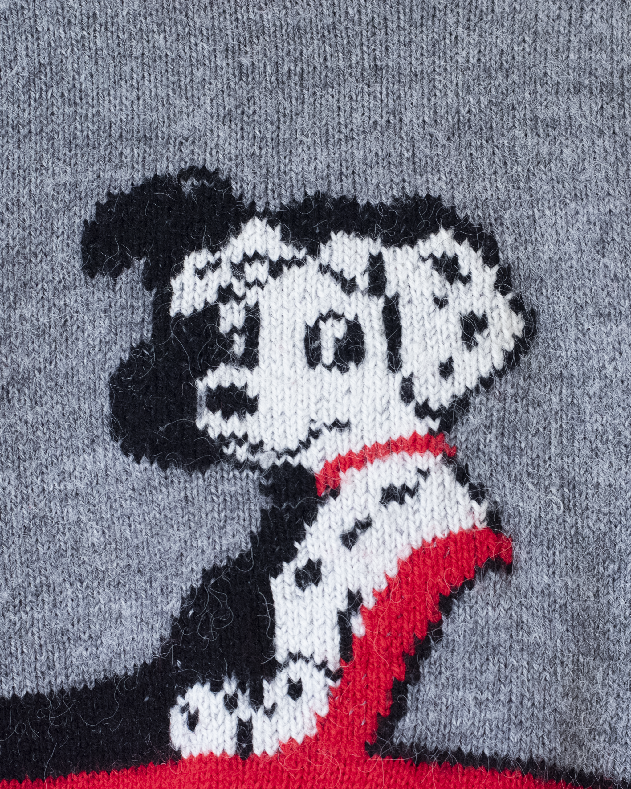 סוודר צמר עם כלב דלמטי | 6-7 שנים