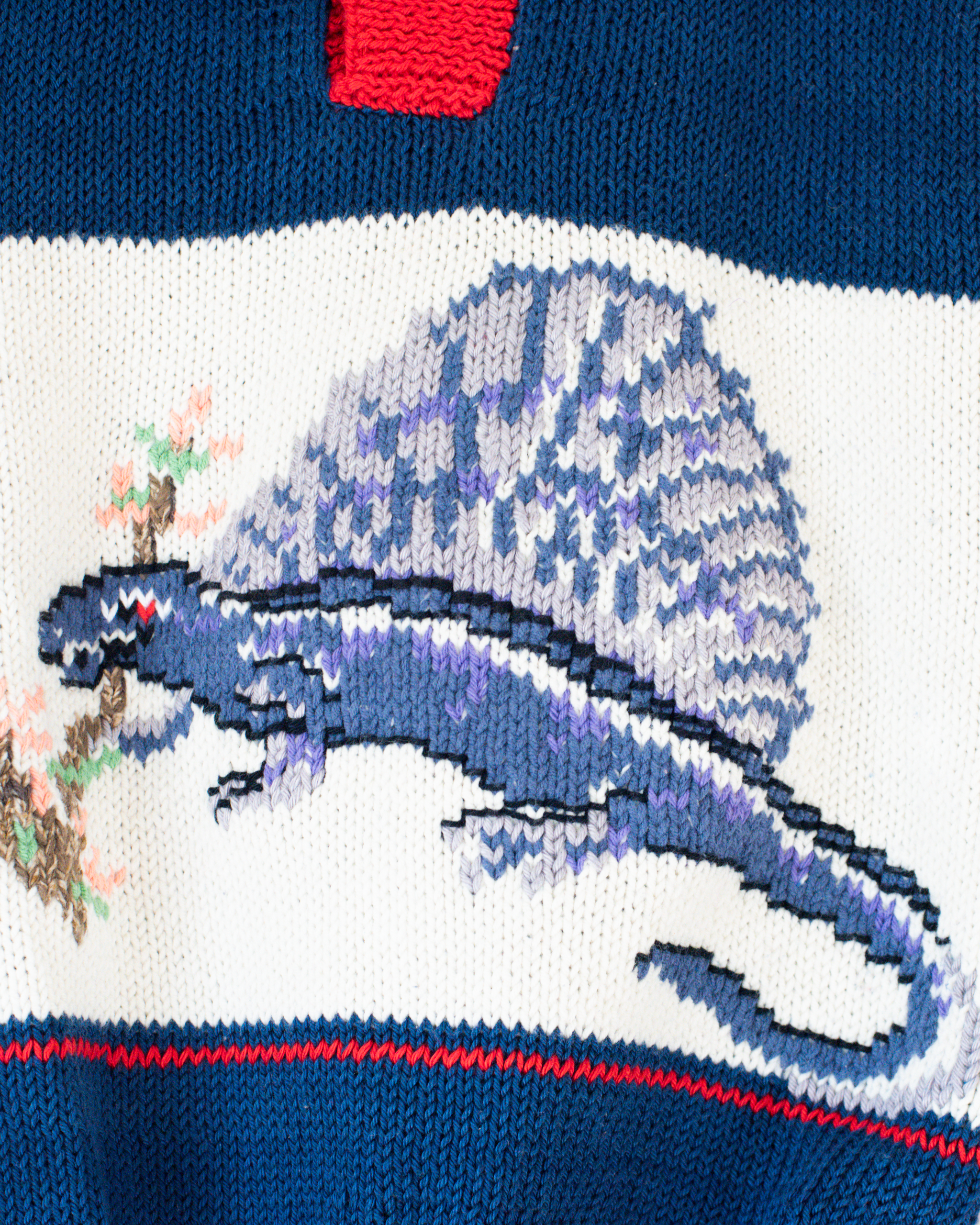 סריג צמר פולו עם לטאה | 5-6 שנים