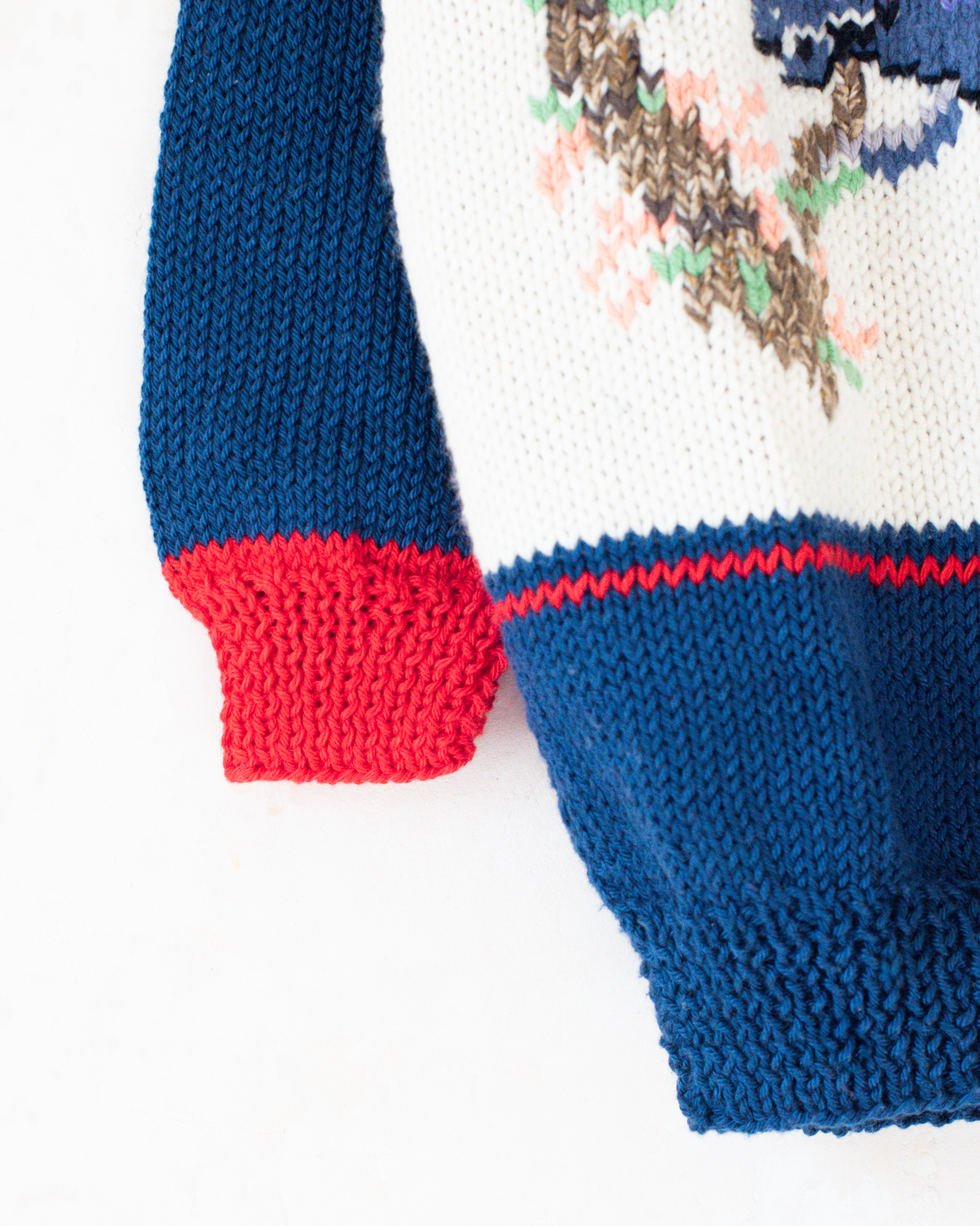 סריג צמר פולו עם לטאה | 5-6 שנים