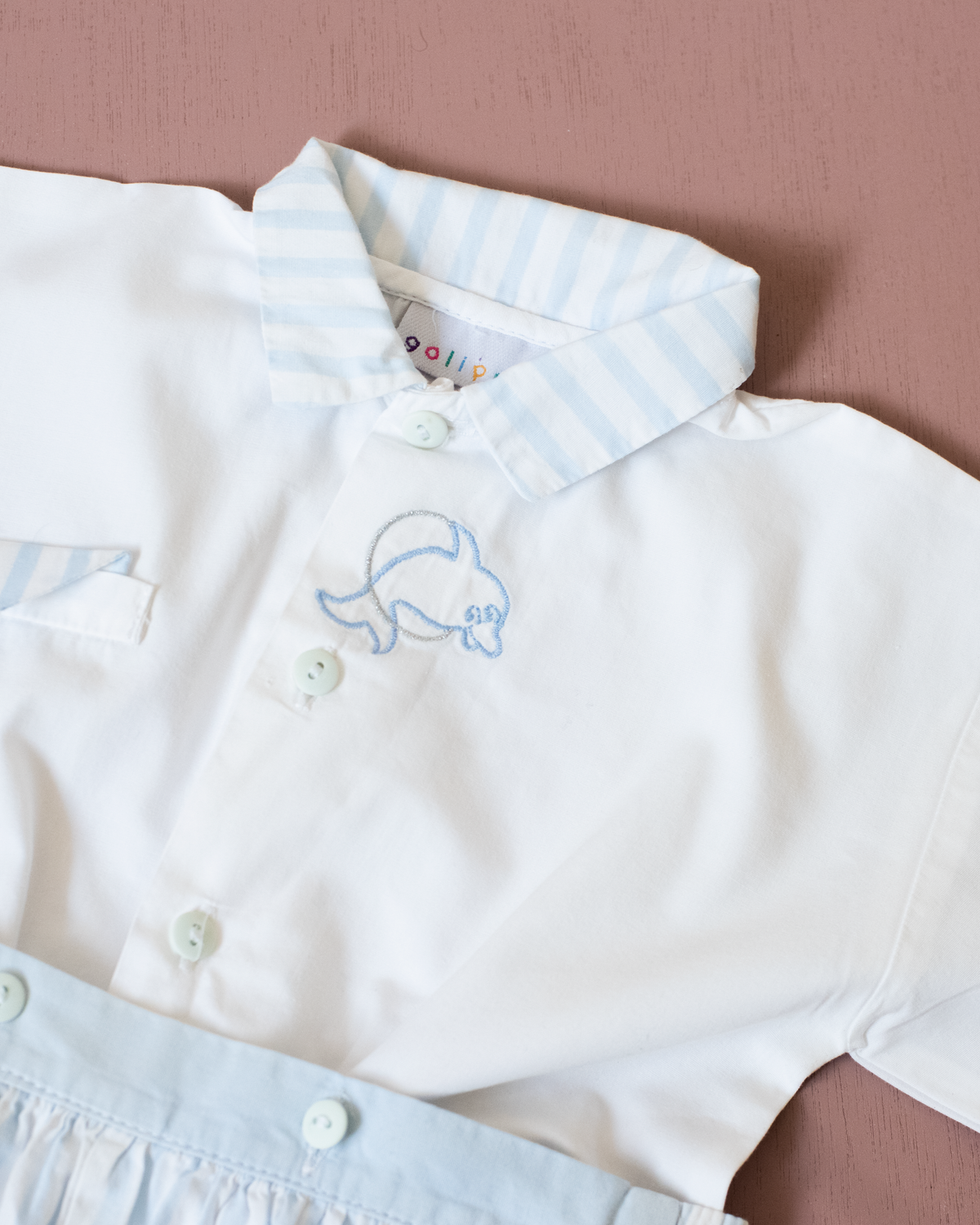 Sweet suit with embroidered dolphin | 6-9 months