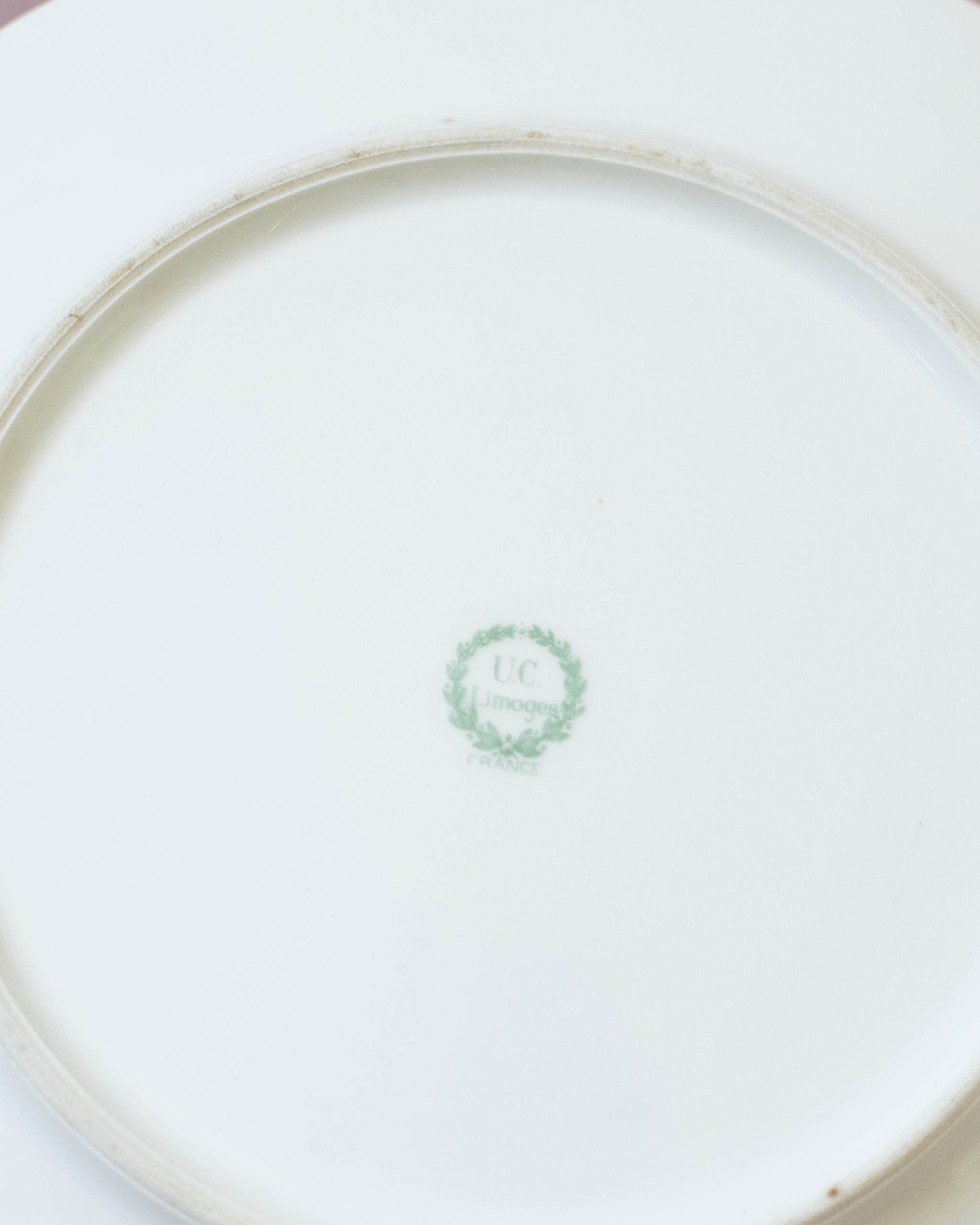 צלחת פורצלן עם ילד ובעלי חיים