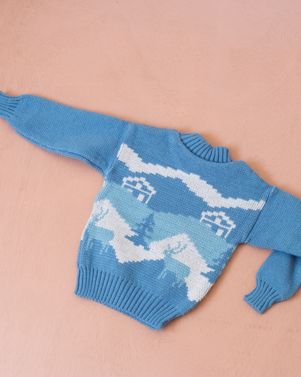 Blue sweater with houses and trees | 18-24 months