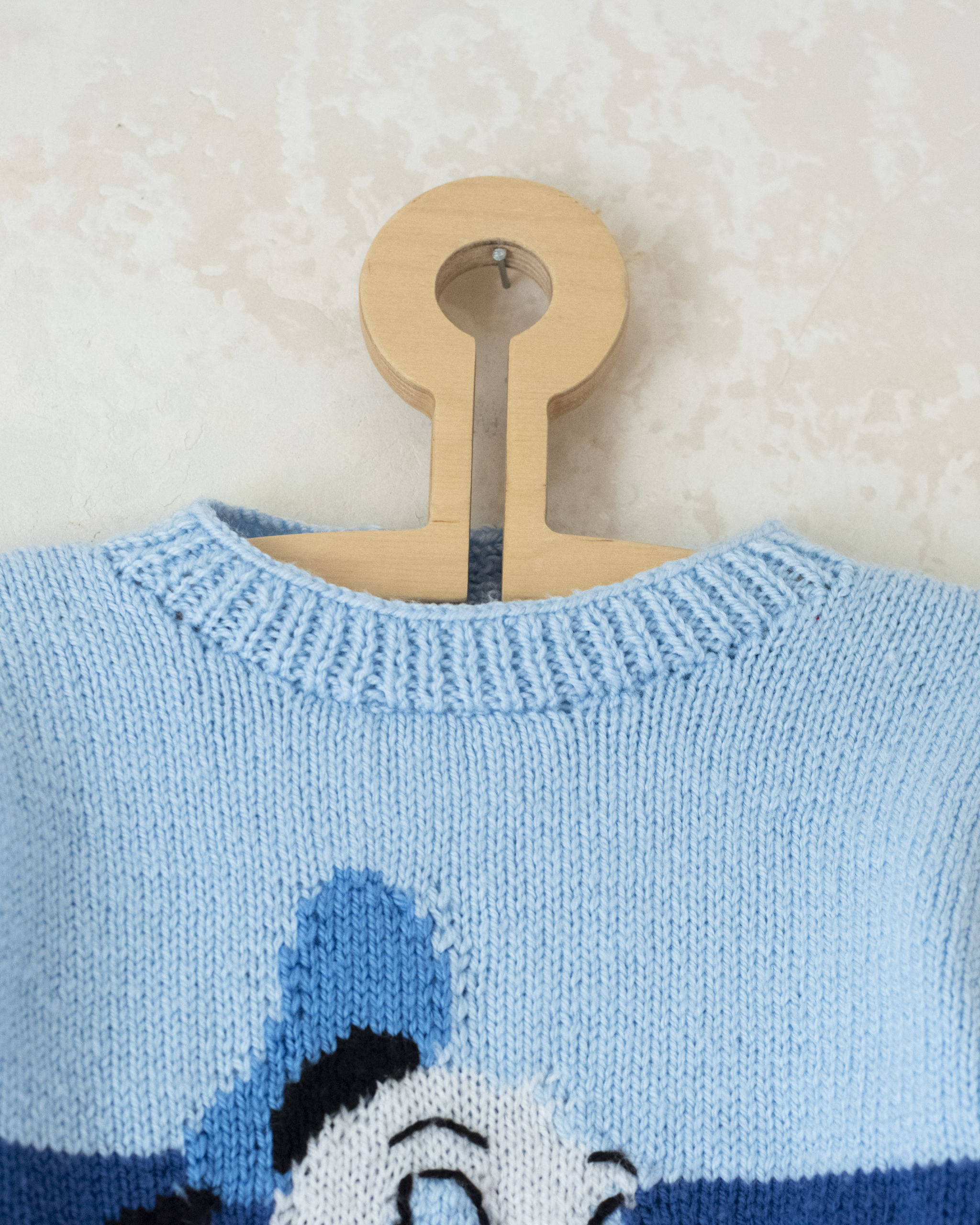 סוודר צמר עם דונלד דאק | 2-3 שנים